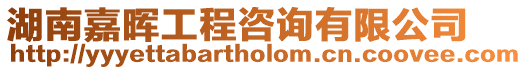湖南嘉暉工程咨詢有限公司