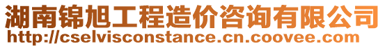 湖南錦旭工程造價(jià)咨詢有限公司