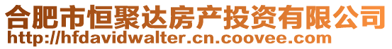 合肥市恒聚達(dá)房產(chǎn)投資有限公司