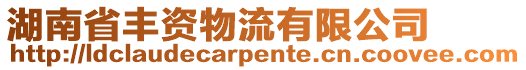 湖南省豐資物流有限公司