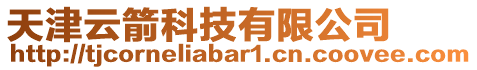 天津云箭科技有限公司