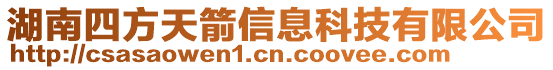 湖南四方天箭信息科技有限公司