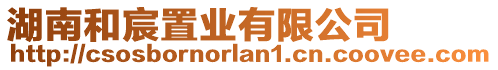 湖南和宸置業(yè)有限公司