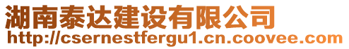 湖南泰達(dá)建設(shè)有限公司