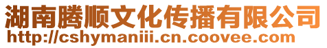 湖南騰順文化傳播有限公司