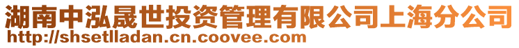 湖南中泓晟世投資管理有限公司上海分公司