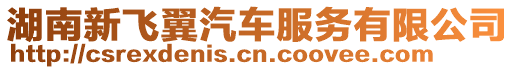 湖南新飛翼汽車服務有限公司