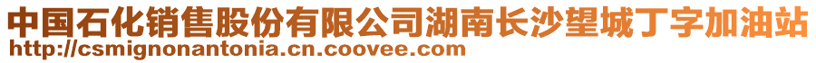 中國石化銷售股份有限公司湖南長沙望城丁字加油站