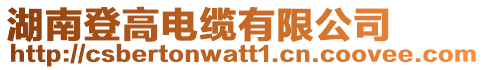 湖南登高電纜有限公司