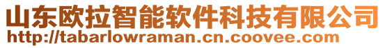 山東歐拉智能軟件科技有限公司