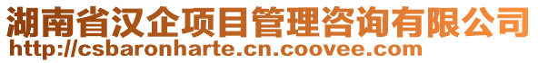 湖南省漢企項目管理咨詢有限公司