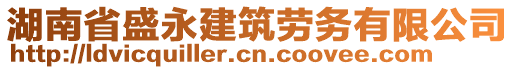 湖南省盛永建筑勞務(wù)有限公司