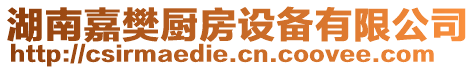 湖南嘉樊廚房設(shè)備有限公司