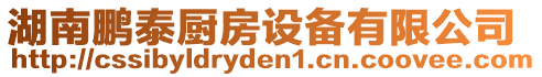 湖南鵬泰廚房設(shè)備有限公司