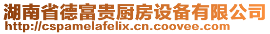 湖南省德富貴廚房設(shè)備有限公司