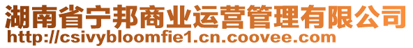 湖南省寧邦商業(yè)運(yùn)營(yíng)管理有限公司