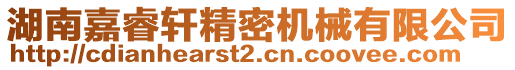 湖南嘉睿軒精密機械有限公司