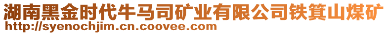 湖南黑金時代牛馬司礦業(yè)有限公司鐵箕山煤礦