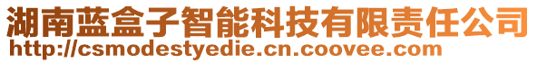 湖南藍(lán)盒子智能科技有限責(zé)任公司