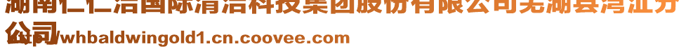 湖南仁仁潔國(guó)際清潔科技集團(tuán)股份有限公司蕪湖縣灣沚分
公司