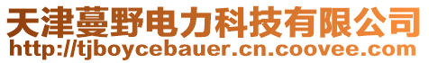 天津蔓野電力科技有限公司