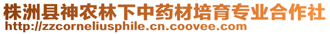 株洲縣神農(nóng)林下中藥材培育專業(yè)合作社