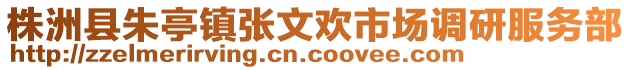 株洲縣朱亭鎮(zhèn)張文歡市場(chǎng)調(diào)研服務(wù)部