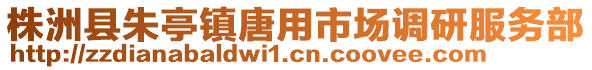 株洲縣朱亭鎮(zhèn)唐用市場(chǎng)調(diào)研服務(wù)部