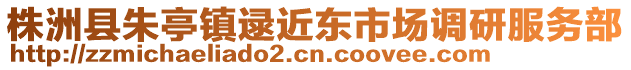 株洲縣朱亭鎮(zhèn)逯近東市場(chǎng)調(diào)研服務(wù)部