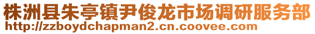 株洲縣朱亭鎮(zhèn)尹俊龍市場調(diào)研服務(wù)部