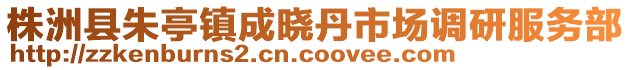 株洲縣朱亭鎮(zhèn)成曉丹市場(chǎng)調(diào)研服務(wù)部