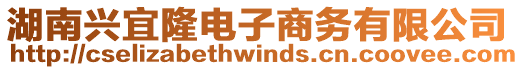 湖南興宜隆電子商務(wù)有限公司