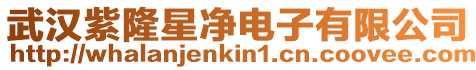 武漢紫隆星凈電子有限公司