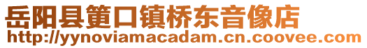 岳陽(yáng)縣筻口鎮(zhèn)橋東音像店