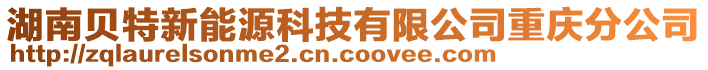 湖南貝特新能源科技有限公司重慶分公司