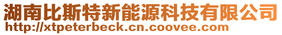 湖南比斯特新能源科技有限公司