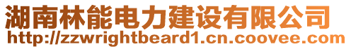 湖南林能電力建設(shè)有限公司