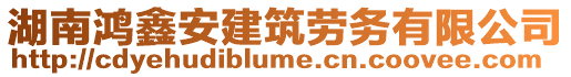 湖南鴻鑫安建筑勞務(wù)有限公司