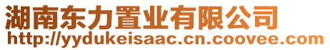 湖南東力置業(yè)有限公司