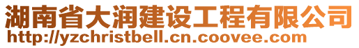 湖南省大潤建設工程有限公司