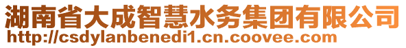 湖南省大成智慧水務(wù)集團(tuán)有限公司