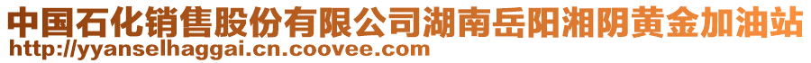 中國(guó)石化銷售股份有限公司湖南岳陽湘陰黃金加油站