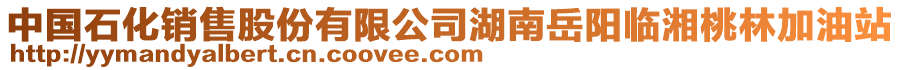 中國(guó)石化銷售股份有限公司湖南岳陽臨湘桃林加油站