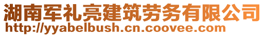 湖南軍禮亮建筑勞務(wù)有限公司