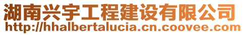 湖南興宇工程建設(shè)有限公司