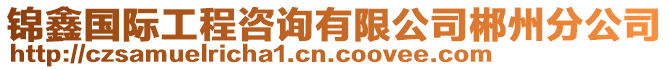 錦鑫國(guó)際工程咨詢有限公司郴州分公司