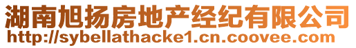 湖南旭揚(yáng)房地產(chǎn)經(jīng)紀(jì)有限公司