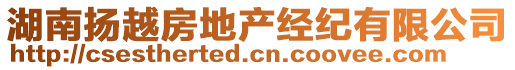 湖南揚(yáng)越房地產(chǎn)經(jīng)紀(jì)有限公司