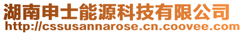 湖南申士能源科技有限公司