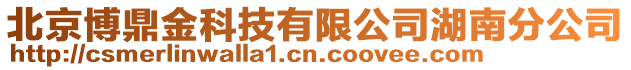 北京博鼎金科技有限公司湖南分公司